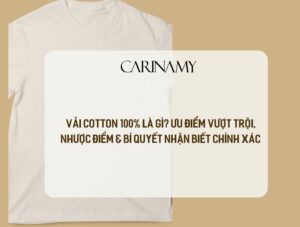 Vải Cotton 100%