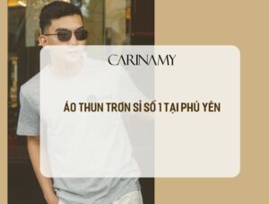 áo thun trơn sỉ số 1 tại phú yên