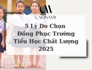 5 Lý Do Chọn Đồng Phục Trường Tiểu Học Chất Lượng 2025
