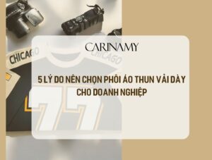 phôi áo thun vải dày