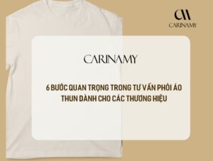 tư vấn phôi áo thun