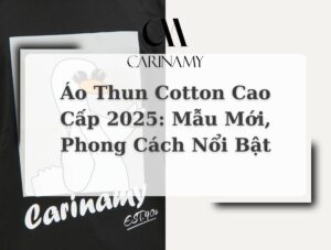 Áo thun cotton cao cấp