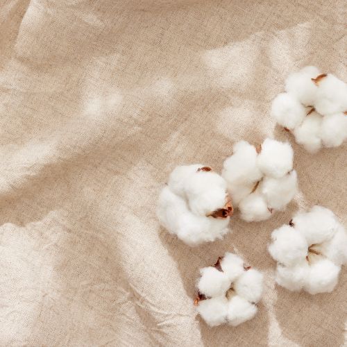 Chất Liệu Vải Cotton 100%