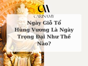 Phôi Áo Thun Thun Lạnh