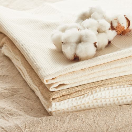 Cotton Compact – Nâng Tầm Hình Ảnh Doanh Nghiệp