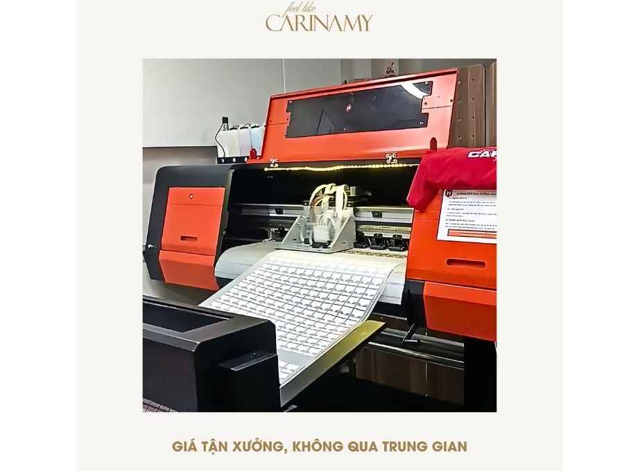 in hình lên màng PET