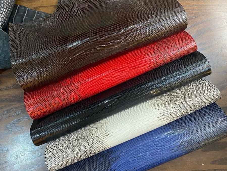da kỳ đà