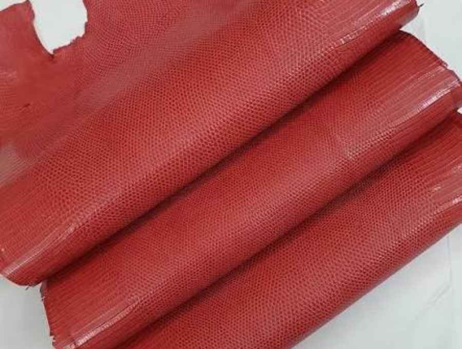 da kỳ đà 1