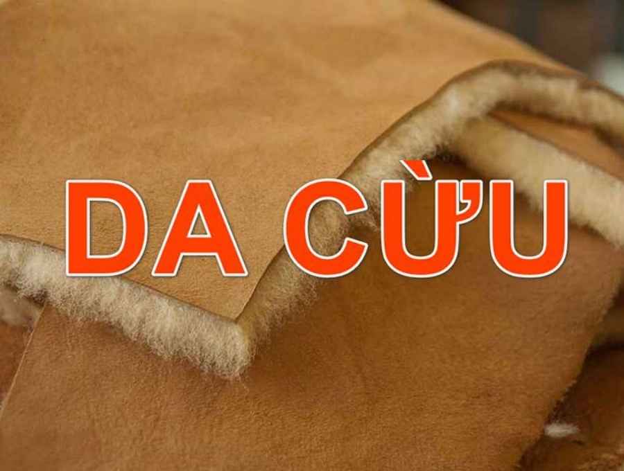 da cừu 1