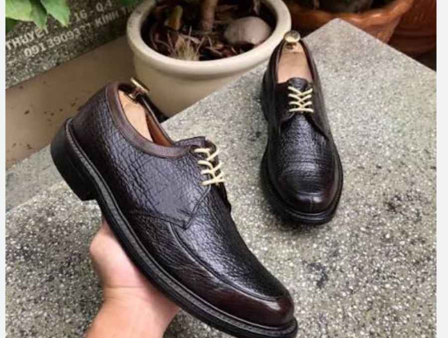 giày da ứng dụng trong da cá mập